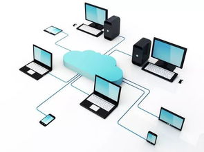 潛江聚焦全鏈條集成服務 以軟件開發為引擎，護航項目建設新生態