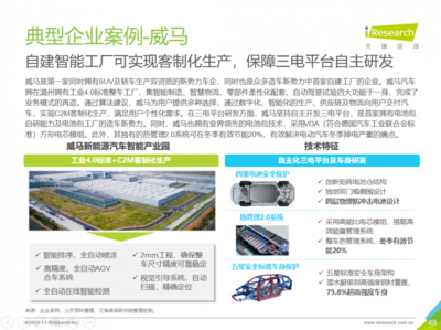 2025年新能源市場展望 威馬等企業潛力無限，技術咨詢服務助力行業騰飛